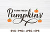 Pumpkin07---Mockup1.jpg