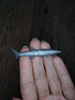 miniature-barracuda-1.jpg