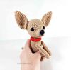 chihuahua amigurumi-33.jpg