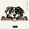 Australian-shepherd-SVG-Aussie-Peeking-dog-Portrait-.jpg