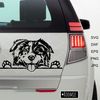 Australian-shepherd-car-decal-SVG-Aussie-Peeking-dog-Portrait-.jpg