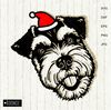 Miniature-schnauzer-in-Santa-hat-svg-Christmas-Scott-Terrier-.jpg