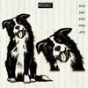 Border-collie-black-and-white-clipart.jpg