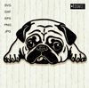 Pug-dog-black-and-white-clipart.jpg