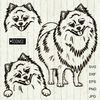 Pomeranian-Spitz-black-and-white-Clipart-.jpg