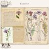 wildflower-junk-journal-pages-printable-30S-3.jpg