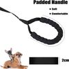 06_dog_leash_obedience_recall_agility_training_rope_miadog.jpg