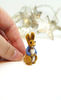 miniature-peter-rabbit-1