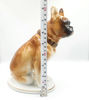 12 Vintage Porcelain Figurine Dog Boxer USSR 1950s.jpg