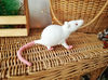 White rat with red eyes toy. Soft toy mouse nature