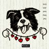 Border-Collie-portrait-with-heart.jpg