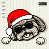 Christmas Shih Tzu with Santa hat and sunglasses.jpg