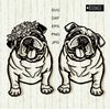 American-bulldog-svg-English-bulldog-vector-clipart-1.jpg