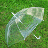 clearbubbleumbrella3.png