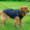 dogjacketharnessnavyblue.png