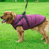 dogjacketharness1.png