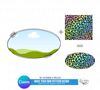 OVAL Photo Frame Canva Template.png