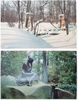 9 PUSHKIN vintage color photo postcards set views of town 1969.jpg