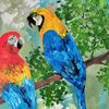 Hand-drawn-two-macaw-parrot-birds-are-sitting-on-a-tree-branch-by-acrylic-paints-2.jpg