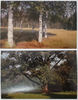 6 PAVLOVSK vintage color photo postcards set views of town USSR 1969.jpg