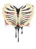 Black Heart in Thorax.jpg