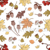 AUTUMN RAWBERRY [site].png