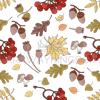 AUTUMN ROWAN [site].png