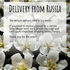Hair pin delivery from russia