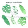 WATERCOLOR TROPICAL LEAF [site].jpg