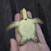 handmade-miniature-sea-turtle-1.jpg