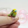 green-budgie-miniature