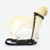 05_miami_link_chain_dog_leash.jpg