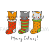 CAT CHRISTMAS CARD [site].png