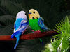 crochet_pattern_parrot.jpg