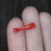 tiny-telescope-goldfish-1.jpg