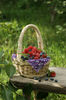 photo of raspberry basket