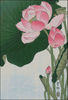 Blooming Lotus Flowers by Ohara Koson1.jpg