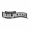 Columbus Blue Jackets7.jpg