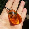 Real Crab in Amber Resin Cancer Pendant Necklace Ocean Animal Summer Jewelry Keychain Gift for Adults Kids.jpg