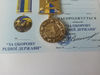 ukrainian-medal-kherson-glory-ukraine-8.jpg