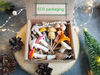 mushroom terrarium kit.jpg