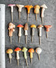 miniature mushrooms.jpg