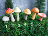 miniature mushrooms.jpg