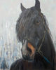 Horse oil painting .jpg
