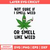 Not Sure If I Smell Weed Or Smell Like Weed Svg, St Patrick _S Day Svg, Png Dxf Eps File.jpg