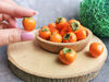 miniature persimmon.jpg