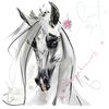 Shy Grey Arabian Horse ART commission cute sketch doodle custom original equine artist cartoon illustration pet portrait realistic drawing personalized painting