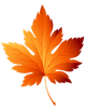 Leaf (4).png