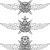 Air Force Cyberspace Operator Badge Vector File.jpg