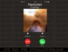 dank meme hamster staring front camera hamster calling gift T-Shirt copy.jpg